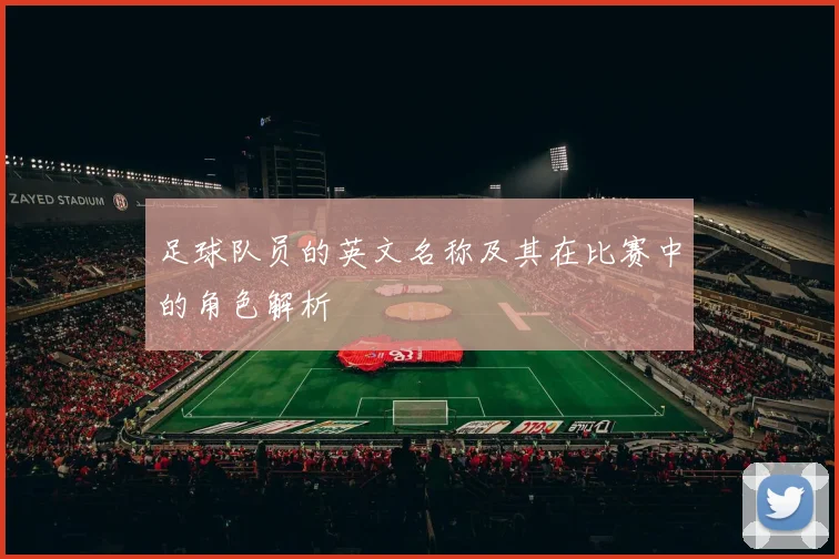足球队员的英文名称及其在比赛中的角色解析