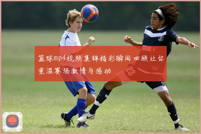 篮球mp4视频集锦精彩瞬间回顾让你重温赛场激情与感动