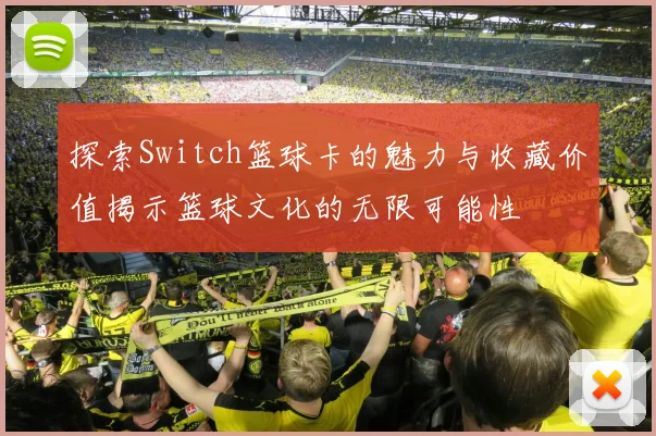 探索Switch篮球卡的魅力与收藏价值揭示篮球文化的无限可能性